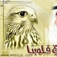 غزلان.2007
