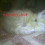 قـطـ ريـلها ـوه