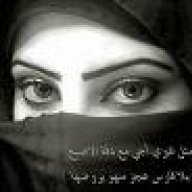 أنا مهره بلا فارس