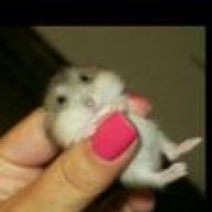Noura M
