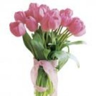 توبه نصوحه