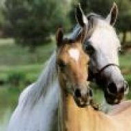 احسـآإس