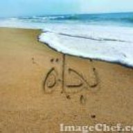 نجاة80