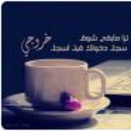 ساكنة القلوب