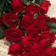 ܓܨ ђ๓śť ฬǻřď ܓܨ