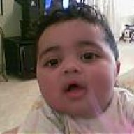 shadan1984