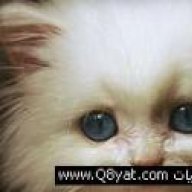 jjory