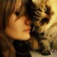 قطوه شريره