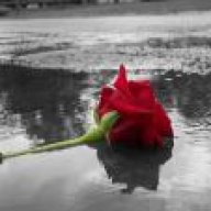 Reham 84