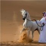 نجدية2011