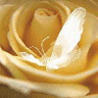 MoOon**Flower