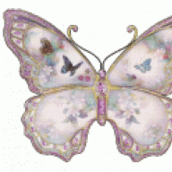 الفراشة1985