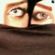 بقايا آمل 22