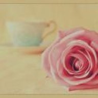 يآمقسمني عشآير♥
