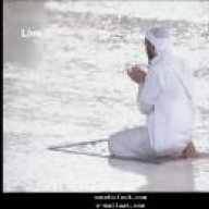 ليناالعالية
