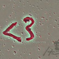 ضمةة شوق . .