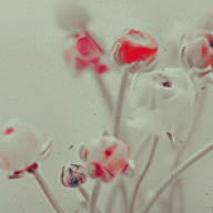 الشهـد~