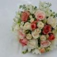anwary_