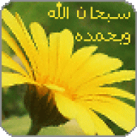 حلوه وبس