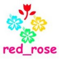 red_rose8278