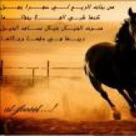 ساسونة