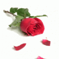 الحــ شوق ــب