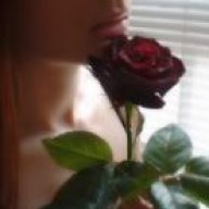 rose-q8