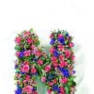 asseil