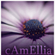 3BAQ AL CAmEllia