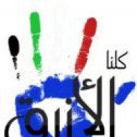 بدور الكويت
