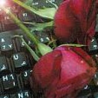 أبله نوف