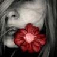 Dody