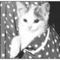 Gatwa DaloO3a