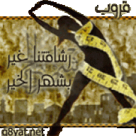 اشجان NN