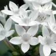 jasmin90