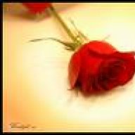ورده حمـــراء