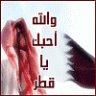 دلع قطر