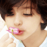 سلحوفه