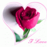امونه-