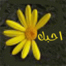 منساك
