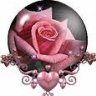 glitter rose
