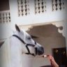 مــهــره