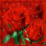 sajaaa_84