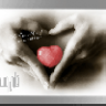 شمعة الدنيا