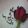om.dodo