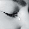 نبراااس الهدى