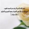 صفوه الوداد