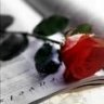 قطوووره