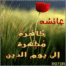 إطلالة الربيع