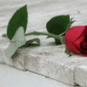 خـفـوق